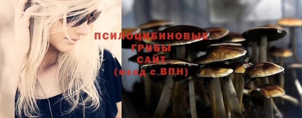 ПСИЛОЦИБИНОВЫЕ ГРИБЫ Армянск